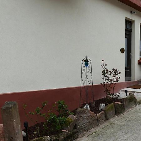 Le Gite Des Sources: Nature, Randonnees, Detente. Oberbronn 외부 사진