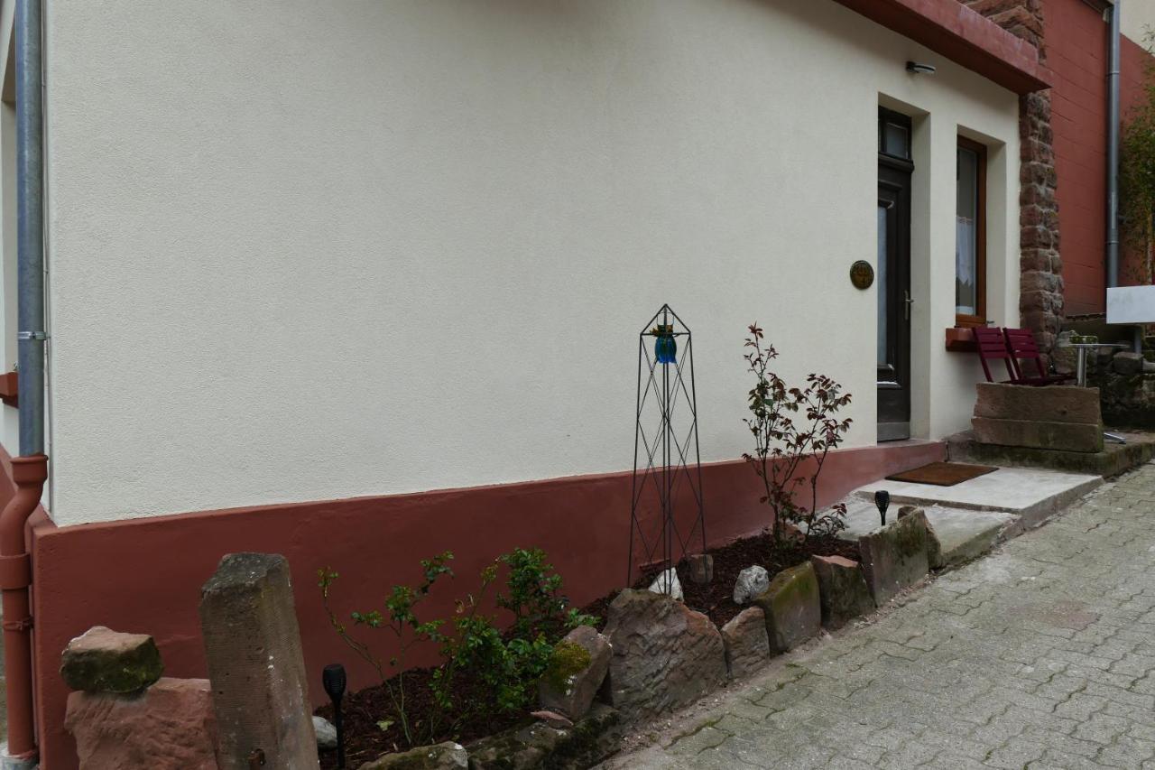 Le Gite Des Sources: Nature, Randonnees, Detente. Oberbronn 외부 사진