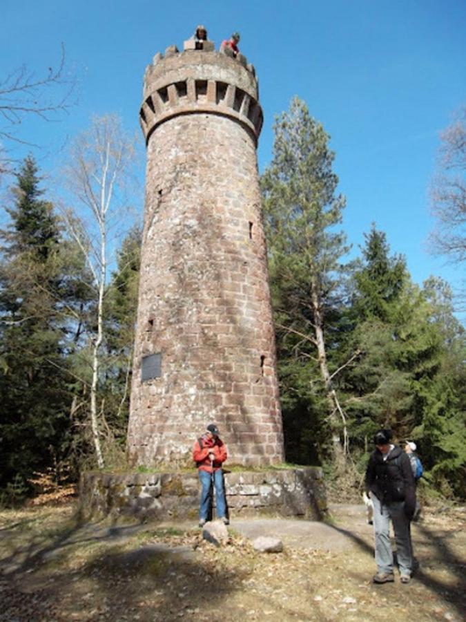 Le Gite Des Sources: Nature, Randonnees, Detente. Oberbronn 외부 사진